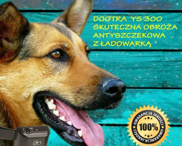 Czy obroża antyszczekowa działa? Skuteczność i kontrowersje w użyciu