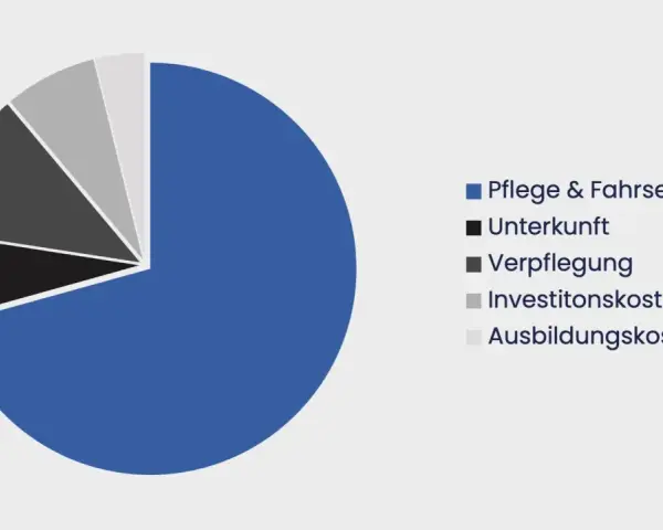 Kreisdiagramm zeigt die Aufteilung der Tagespflege Kosten: Pflege & Fahrsrvice, Unterkunft, Verpflegung, Investitionskosten, Ausbildungskosten.