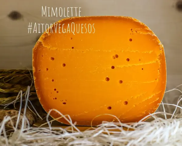 Un trozo de queso Mimolette, de color naranja intenso y con pequeños agujeros, descansa sobre paja. ¡Un queso mimolette peligroso por lo delicioso!
