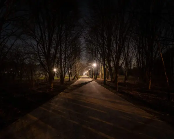 Aleja drzew nocą, oświetlona latarniami. Ciemność i cienie przypominają, jak widzi kurza ślepota.