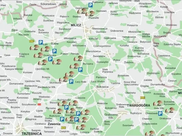 Gdzie na grzyby z noclegiem? Odkryj najlepsze miejsca na grzybobranie