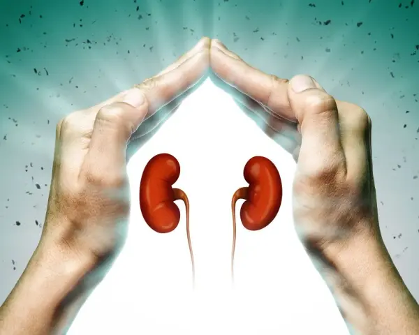 Hände schützen Nieren. Ein guter GFR-Wert mit 70 Jahren ist wichtig für die Gesundheit.