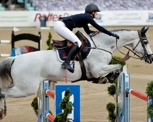 Reiterin mit weißem Pferd überwindet Hindernis. Ein Moment aus dem Springreiten, der die Dynamik der Klassen zeigt.