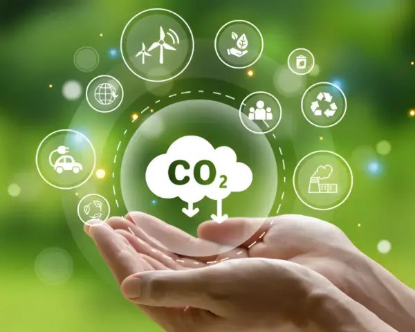 Jak obliczyć emisje CO2 w firmie? Krok po kroku z KOBiZE