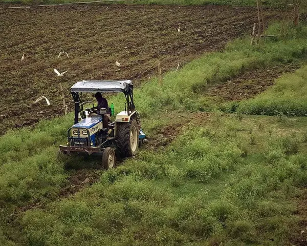 Traktor z kultywatorem pracuje na polu, spulchniając ziemię. Ptaki krążą nad pracującym rolnikiem.