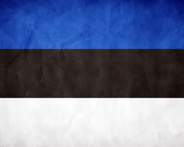 Flaga Estonii: niebieski pas symbolizuje niebo, czarny ziemię, a biały pokój i czystość.