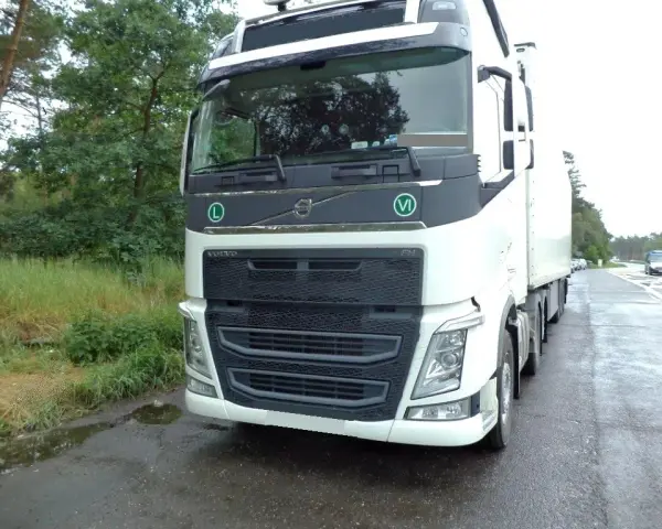 Transport ryb z Norwegii do Polski: 15 kg legalnie? Sprawdź!