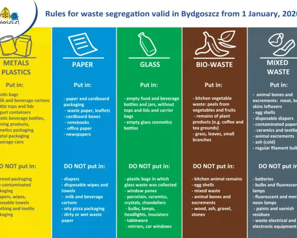 Czy trzeba segregować śmieci? Poznaj obowiązki i konsekwencje