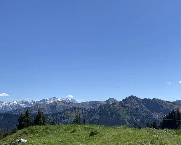 Grüne Wiesen und Wälder vor einer beeindruckenden Bergkulisse mit schneebedeckten Gipfeln. Ein herrlicher Blick von der **hohen Bleick**.