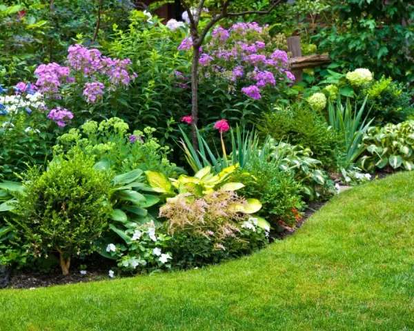 Jardín exuberante con variedad de plantas que aguantan el sol, flores moradas, azules y rojas, césped verde y arbustos bien cuidados.