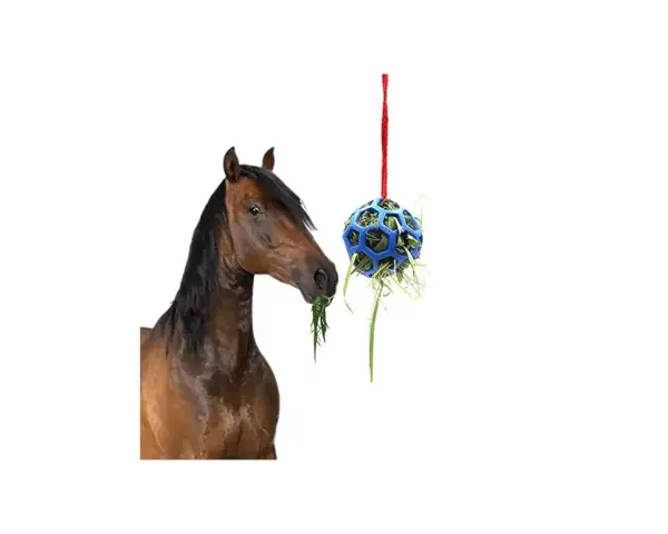 Un cheval mange de l'herbe d'une balle suspendue, un concept pour fabriquer un distributeur automatique de nourriture pour chevaux.
