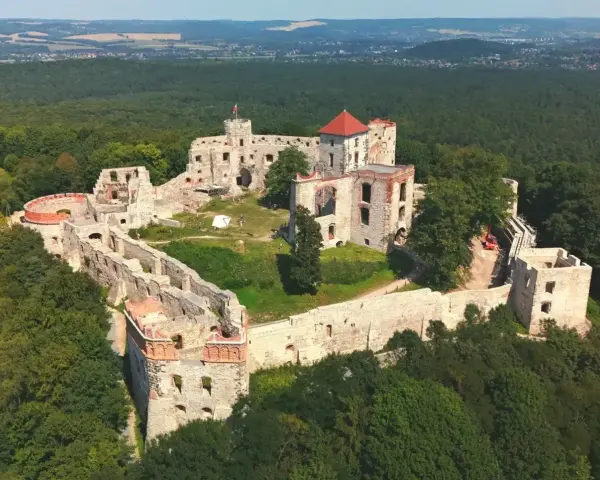 Ruiny zamku Tenczyn na wzgórzu, otoczone lasem. Widać mury obronne, wieże i pozostałości budynków.