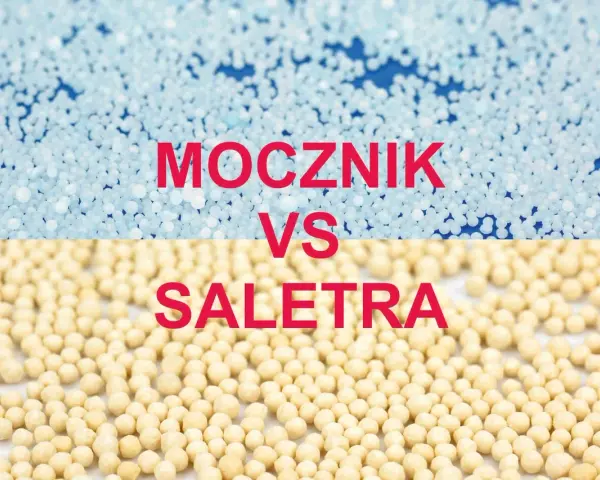 Co lepsze saletra czy saletrzak - porównanie skuteczności nawozów