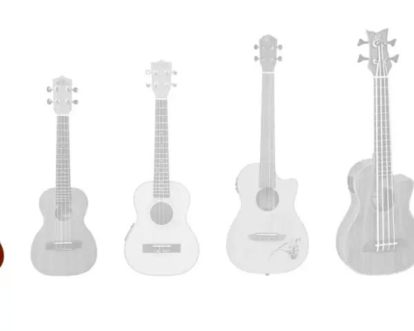 Verschiedene ukulele arten, von klein bis groß, mit einer braunen Ukulele im Vordergrund.