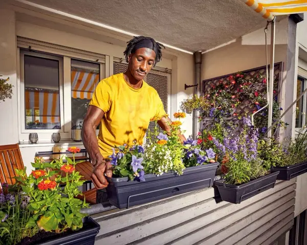 Mann bepflanzt einen Balkonkasten mit bunten Blumen. Der Mann in gelbem T-Shirt arrangiert die Pflanzen für ein schönes Ergebnis.