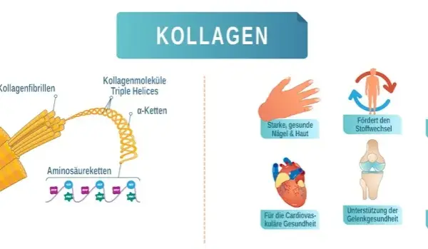 Die Wahrheit über Kollagen Nahrungsergänzungsmittel: Vorteile und Risiken