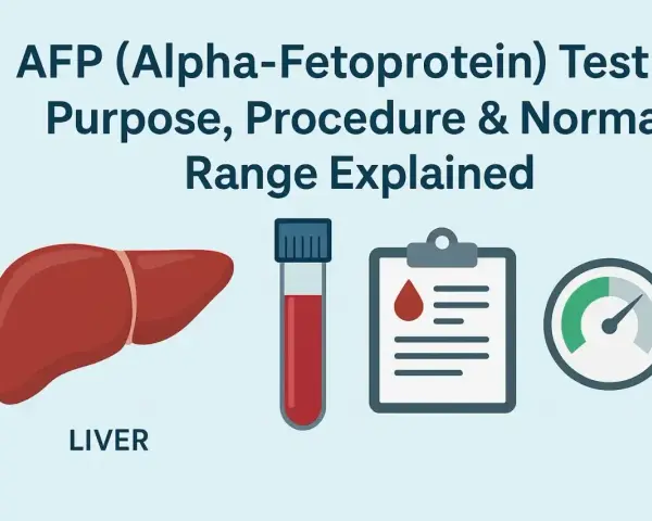 Badanie AFP (Alfa-fetoproteina) to test oceniający wątrobę. Grafika pokazuje wątrobę, probówkę z krwią i wyniki.