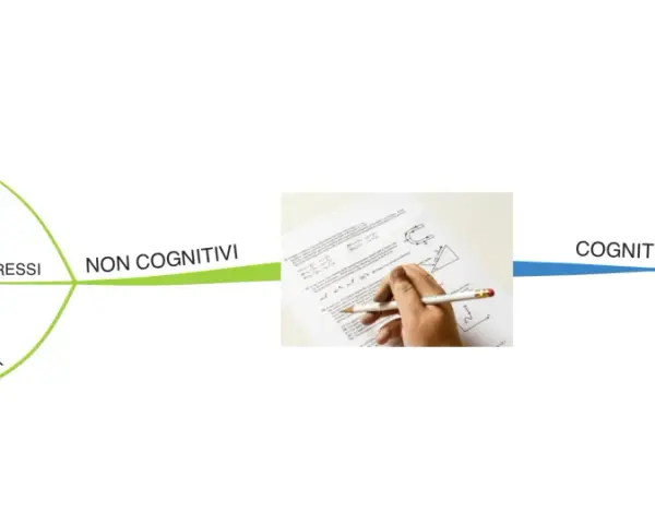 Schema che illustra le categorie dei test psicologici: non cognitivi (atteggiamento, interessi, personalità) e cognitivi (livello, sviluppo, profitto, attitudinali).