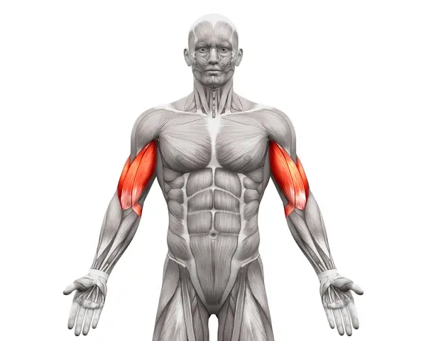 Jak rozciągać biceps? Uniknij 5 błędów i zyskaj siłę!
