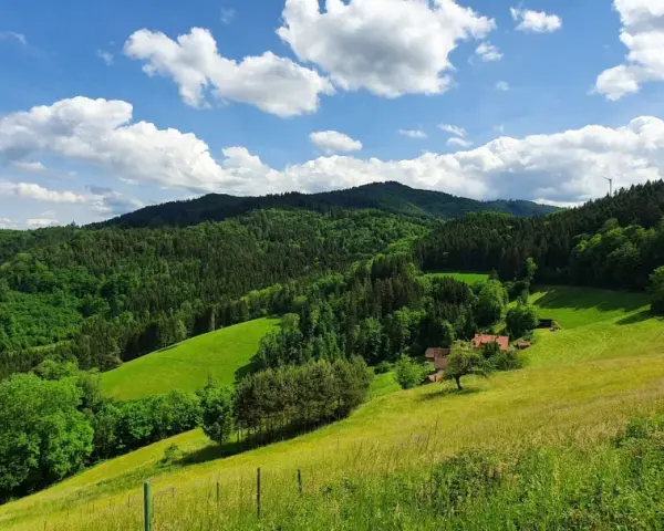 Grüne Hügel und Wälder am Hausacher Bergsteig unter blauem Himmel mit weißen Wolken. Ein Bauernhof mit roten Dächern liegt eingebettet in der Landschaft.