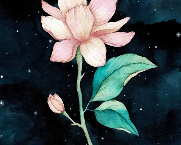 Une magnifique aquarelle sur fond noir, représentant une fleur de magnolia rose pâle avec des feuilles vertes et un petit bourgeon, le tout baignant dans une douce lumière étoilée.