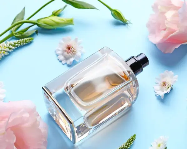 Gute und günstige Parfums: Top Empfehlungen für jeden Geldbeutel