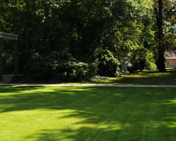 Ein sonniger Tag im Schlosspark Pankow. Ein gepflegter Rasen wird von Schatten durchbrochen, daneben ein Weg und eine Allee.