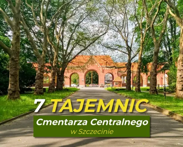 Ile hektarów ma cmentarz w Szczecinie? Poznaj jego ogromną powierzchnię