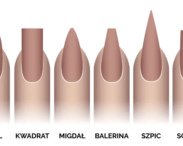 Ilustracja przedstawia sześć kształtów paznokci: owal, kwadrat, migdał, balerina, szpic i sqoval.