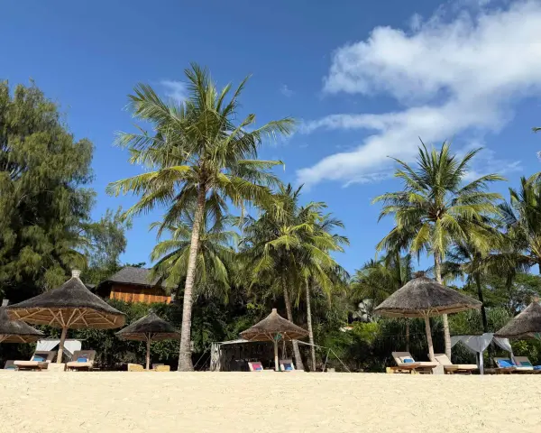 Plaża na Zanzibarze, palmy, leżaki pod strzechą. Wiza na lotnisku Zanzibar już za nami, czas na relaks.