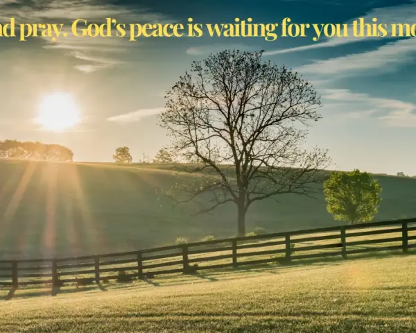 Sunrise over a grassy hill with a fence. The sun's rays shine through a bare tree, inviting the first prayer of the day.