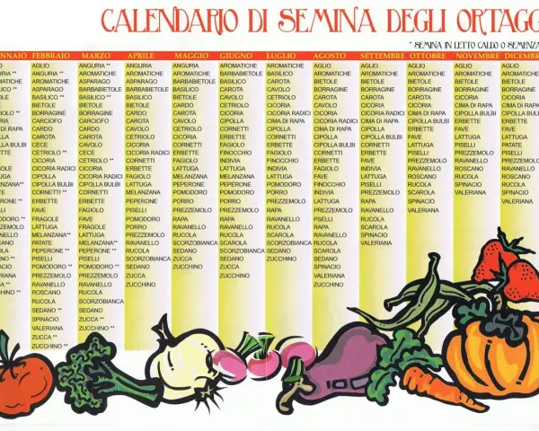 Calendario semine ortaggi: guida mensile per la semina di verdure come pomodori, zucchine e insalate.