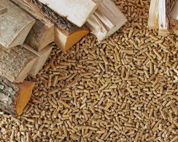 Gros tas de bois déchiqueté, idéal pour le chauffage. Le prix du bois déchiqueté est une préoccupation pour les consommateurs.