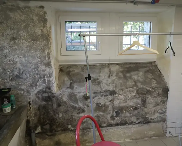 Feuchtigkeit im Keller selbst beseitigen: Schimmel und Salzausblühungen an der Wand erfordern Maßnahmen.