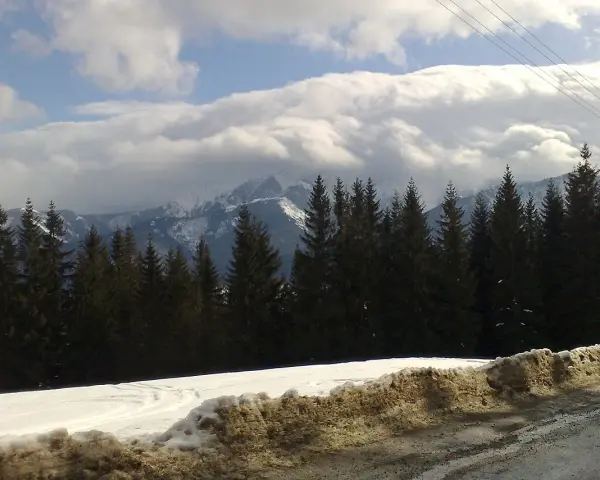 Zimowe hale w Tatrach, gęsty las świerkowy i ośnieżone szczyty pod chmurami.