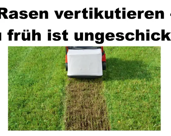 Rasen vertikutieren: Ein Rasenlüfter entfernt Moos und Unkraut. Zu früh ist ungeschickt!