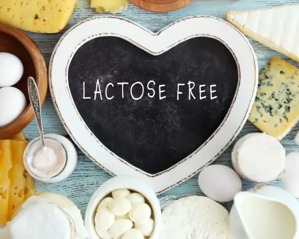 Assortiment de fromages, œufs et yaourt. Un cœur noir indique "LACTOSE FREE", parfait pour un fromage blanc sans lactose.