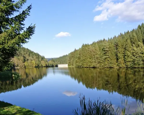 Idyllischer **Badesee Grotegaste** umgeben von dichten Wäldern, die sich im ruhigen Wasser spiegeln. Ein perfekter Ort für Erholung.