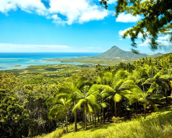Rajski widok na Mauritius z palmami i górą Le Morne. Idealne miejsce na wakacje, sprawdź atrakcyjne ceny!