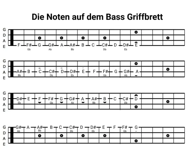 Gitarrennoten kostenlos für Pop-Songs: Übersicht der Noten auf dem Bass-Griffbrett.