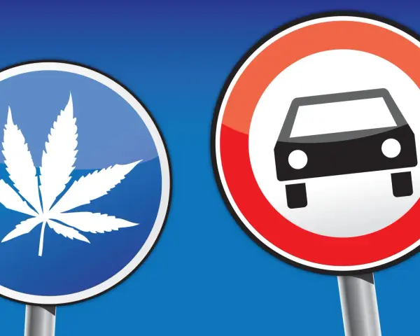 Verkehrsschilder: Ein blaues Schild mit einem Cannabisblatt und ein rotes Schild mit einem Auto. Vorsicht vor Cannabis am Steuer!