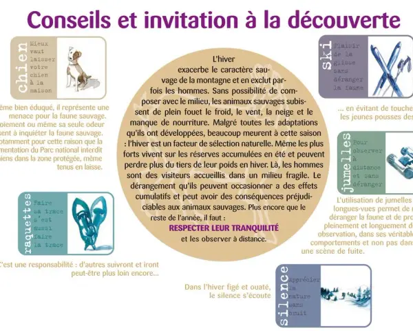 Conseils pour observer la faune en hiver. Ne pas déranger les animaux sauvages, même avec un chien. Respecter leur tranquillité.
