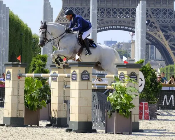 Un cavalier et son cheval blanc, Rahotep de Toscane, franchissent un obstacle à Paris, avec la Tour Eiffel en arrière-plan.