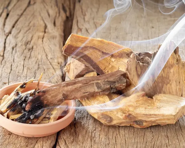Fragmentos de palo santo humeante sobre madera rústica. Quemar palo santo es malo para el medio ambiente y la salud.