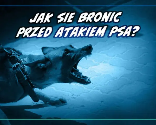 Jak bronić się przed psem? Unikaj ataku, działaj w kryzysie!