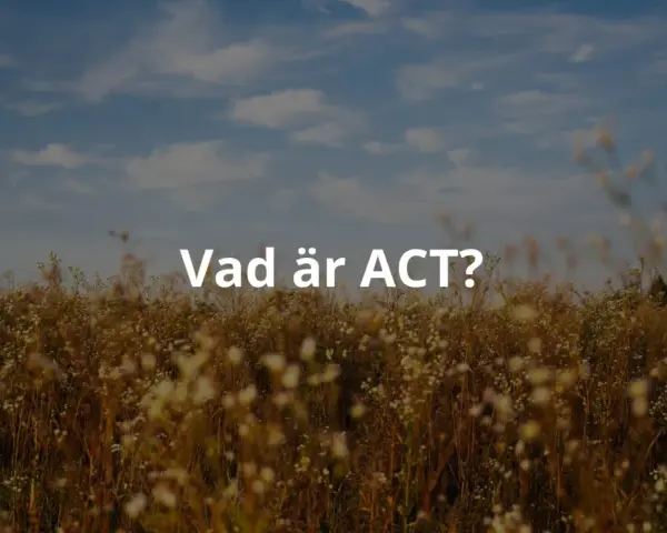 Texten "Vad är ACT?" visas över ett fält med högt gräs och blommor under en molnig himmel. ACT-metoden kan hjälpa dig att navigera i livet.