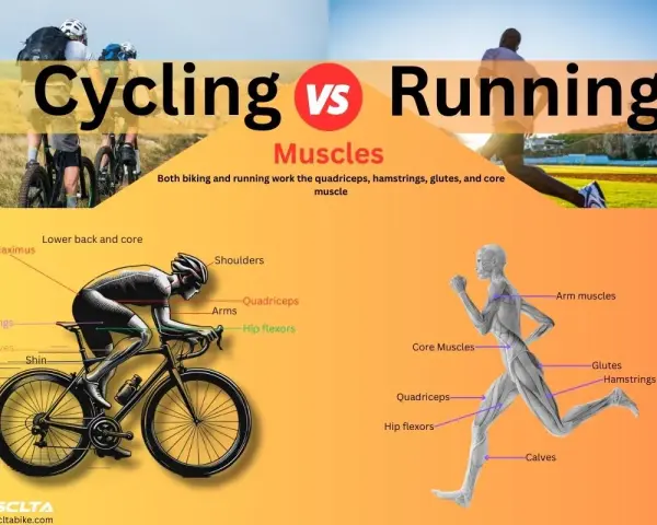 Cycling vs Running: A muscle comparison showing how both activities engage quadriceps, hamstrings, glutes, and core.