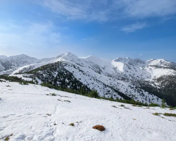 Śnieżny szlak na Grzesia w Tatrach. W oddali widać ośnieżone szczyty i lasy.