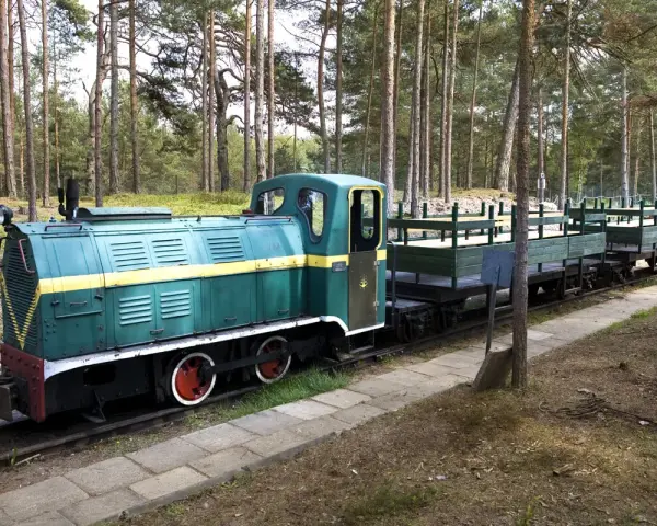 Zielona lokomotywa z żółtym pasem i wagonami na torach leśnych. Pociąg nawiązuje do historii muzeum obrony wybrzeża.