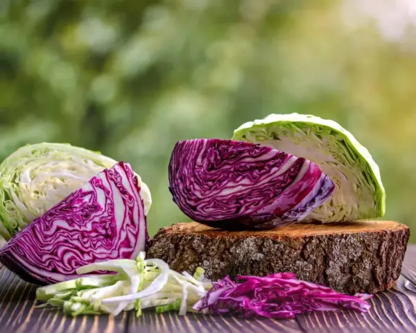 Cavolo cappuccio rosso e bianco tagliati a metà, con foglie sminuzzate.